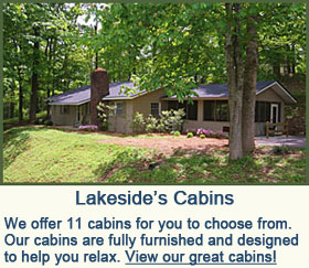 The Cabins